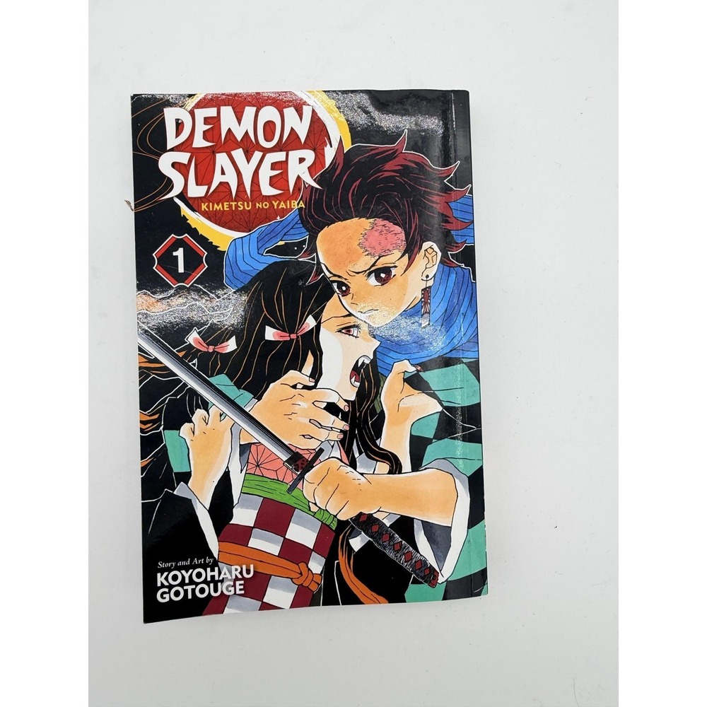 Demon Slayer Kimetsu No Yaiba Vol 1 VIZ Media Manga Graphic Novel Shonen Jump